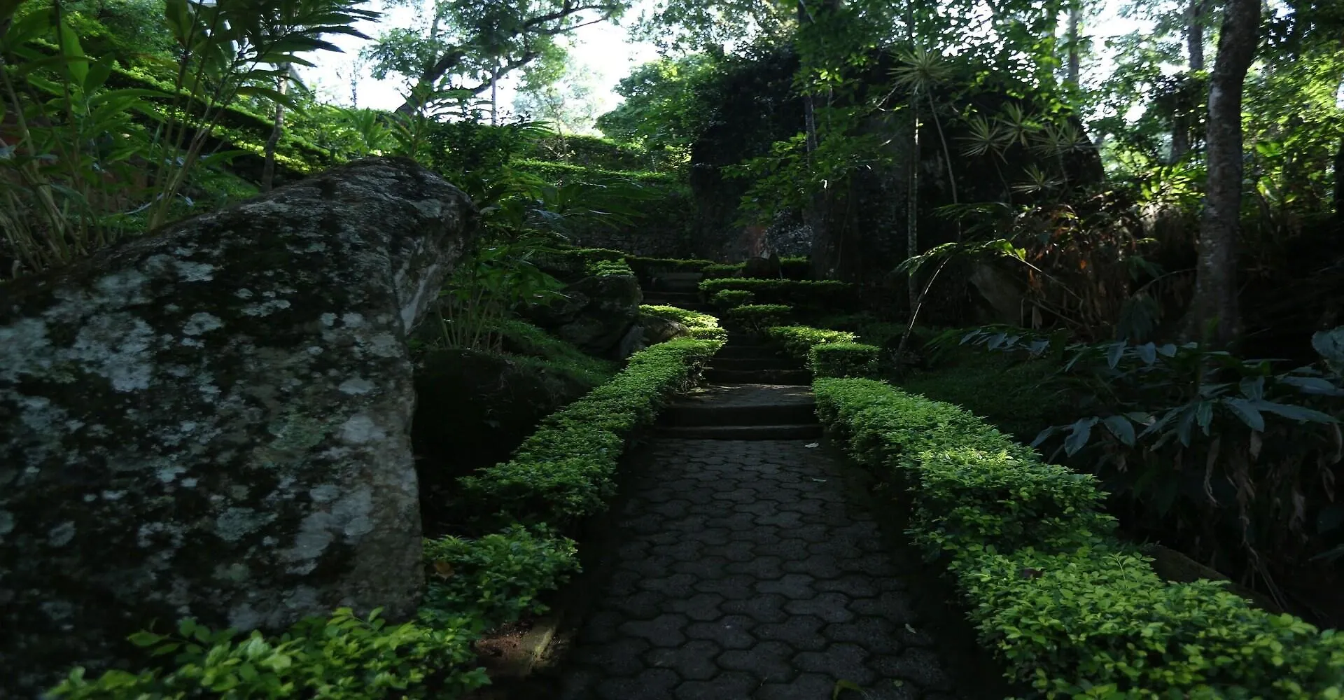 Fort Munnar Chinnakanal