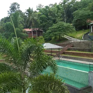 Resort Blooms Green Farm, Panamaram